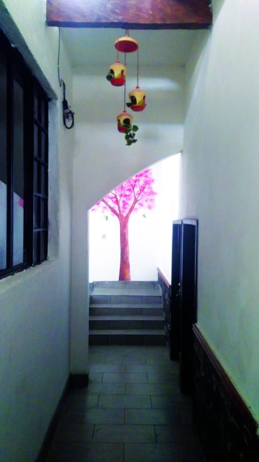Hotel Falcon Tamasopo Zewnętrze zdjęcie