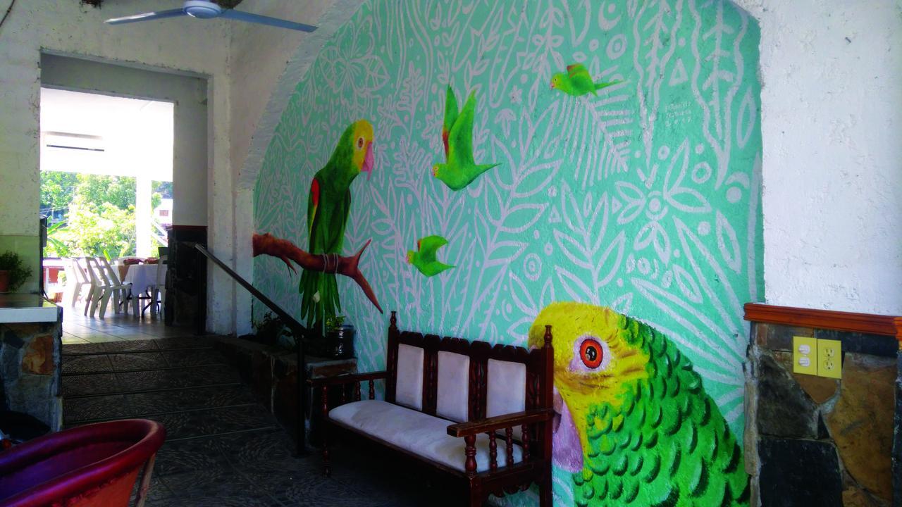Hotel Falcon Tamasopo Zewnętrze zdjęcie