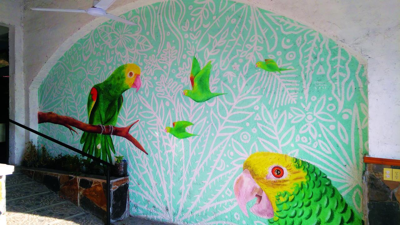 Hotel Falcon Tamasopo Zewnętrze zdjęcie